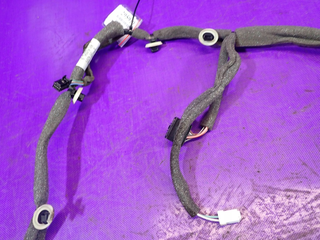 фото №5, Scenic iii 3 джгут двері лівий задня 241275076r