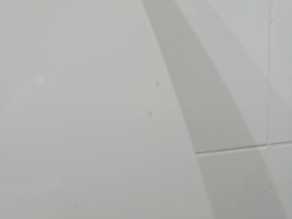 фото №8, Капот seat leon iv 4