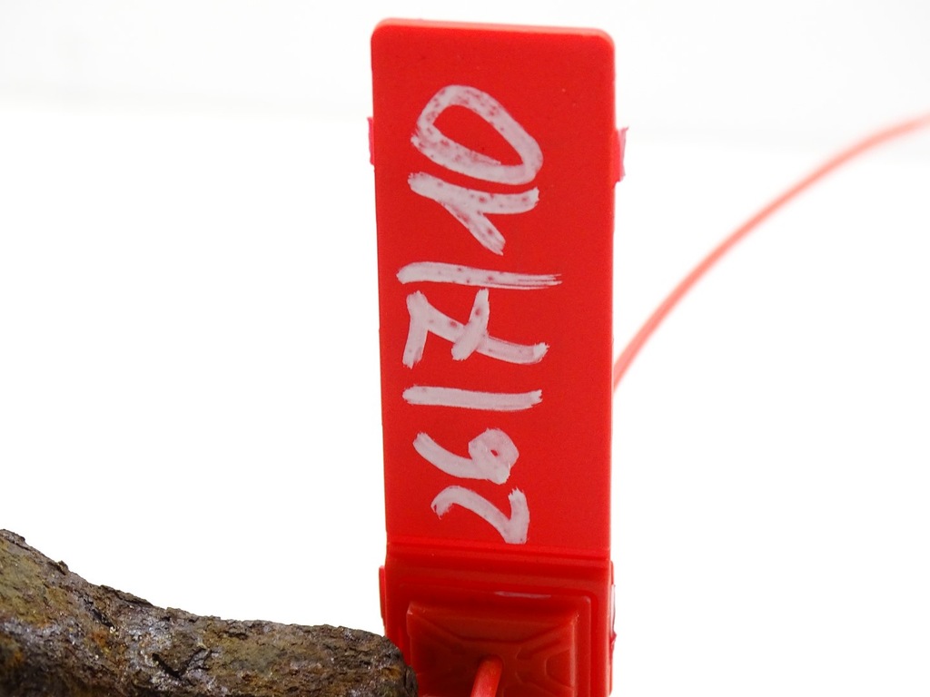 фото №8, Поворотный кулак левая левый перед передняя audi a1 8x 1.4 tsi