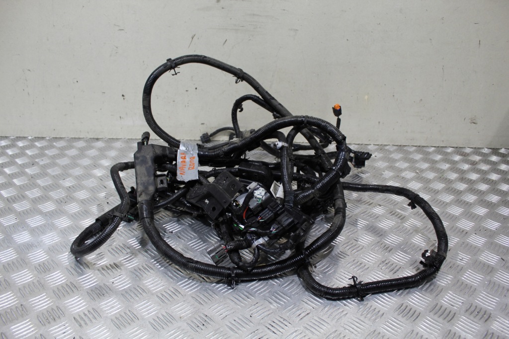 фото №1, Жгут электрическая рамы navara iv 4 d23 np300