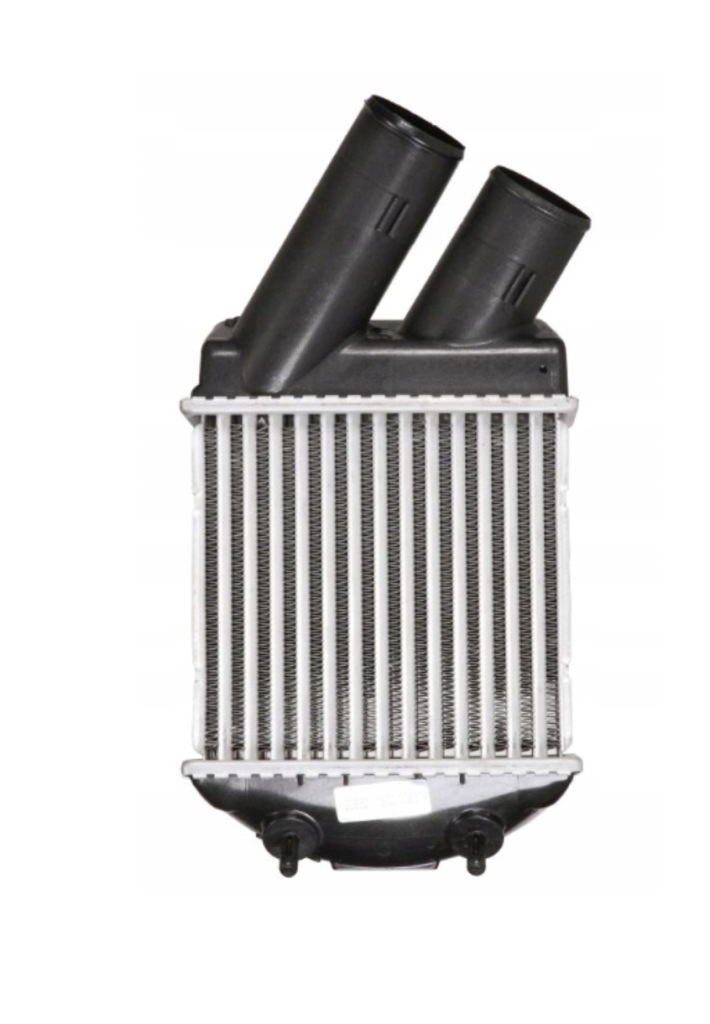 Купити Renault megane scenic 96-99 інтеркулер 1.9 dt