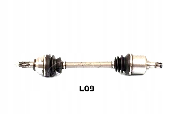 фото №2, Привідний вал ashika