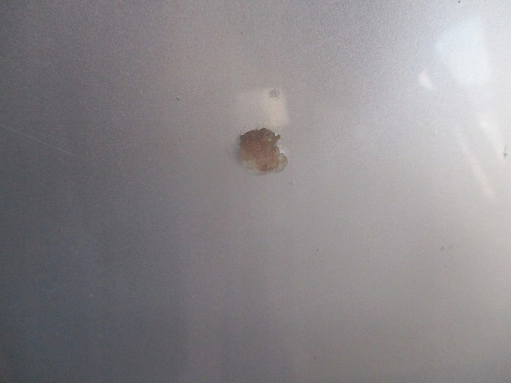 фото №2, Капот mazda 3 bk 22v