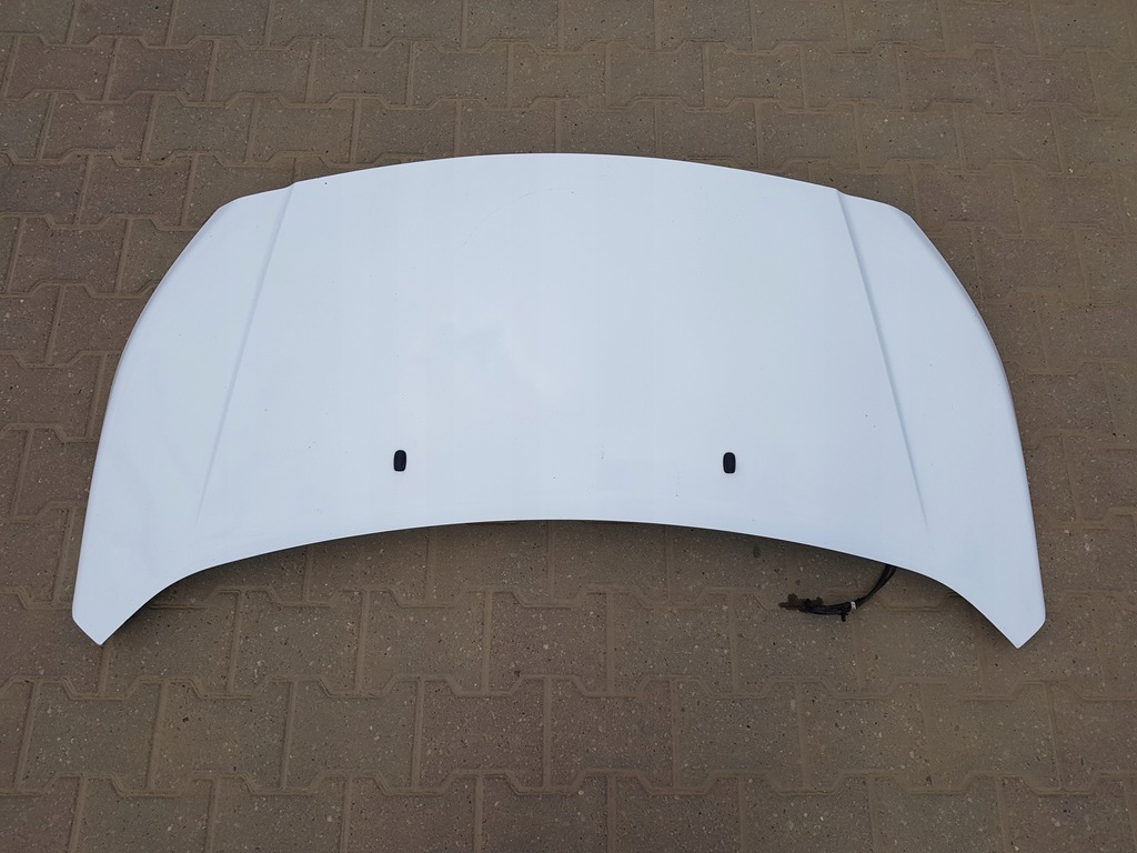 фото №11, Ford transit connect mk2 2013- капот