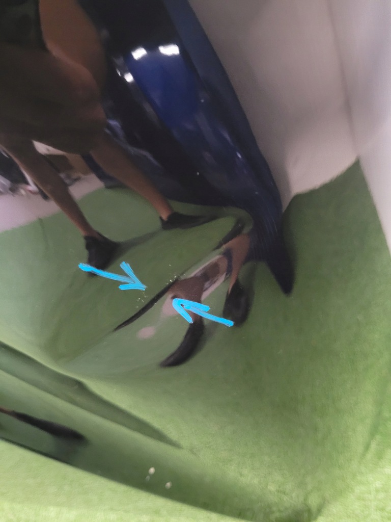 фото №6, Skoda enyaq 5la капот крышка двигателя оригинал oem 5la823155