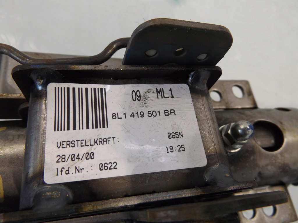 фото №5, Leon i колонка кермова