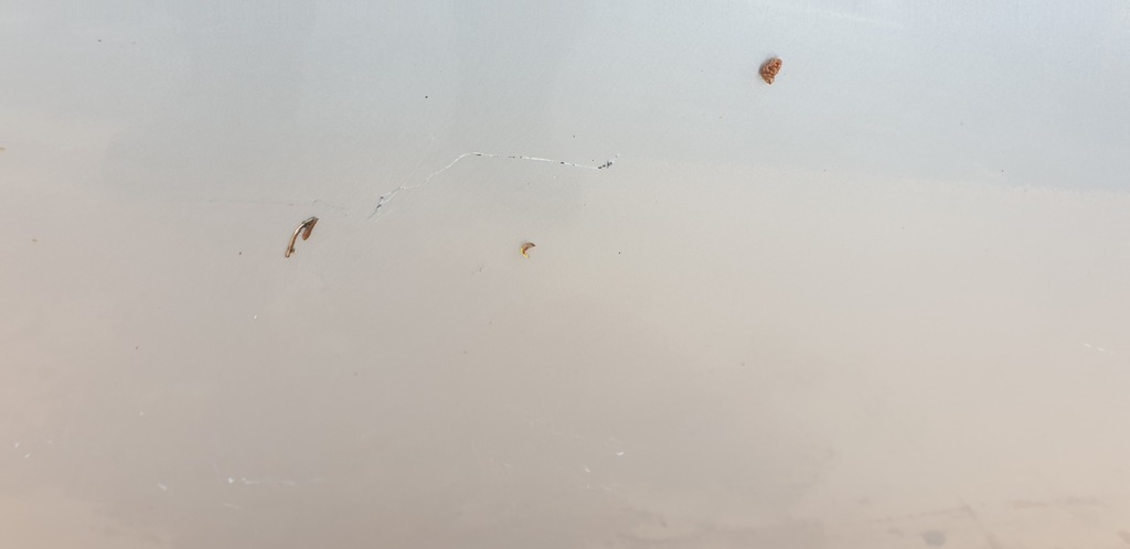 фото №3, Левая передние дверь citroen c4 i