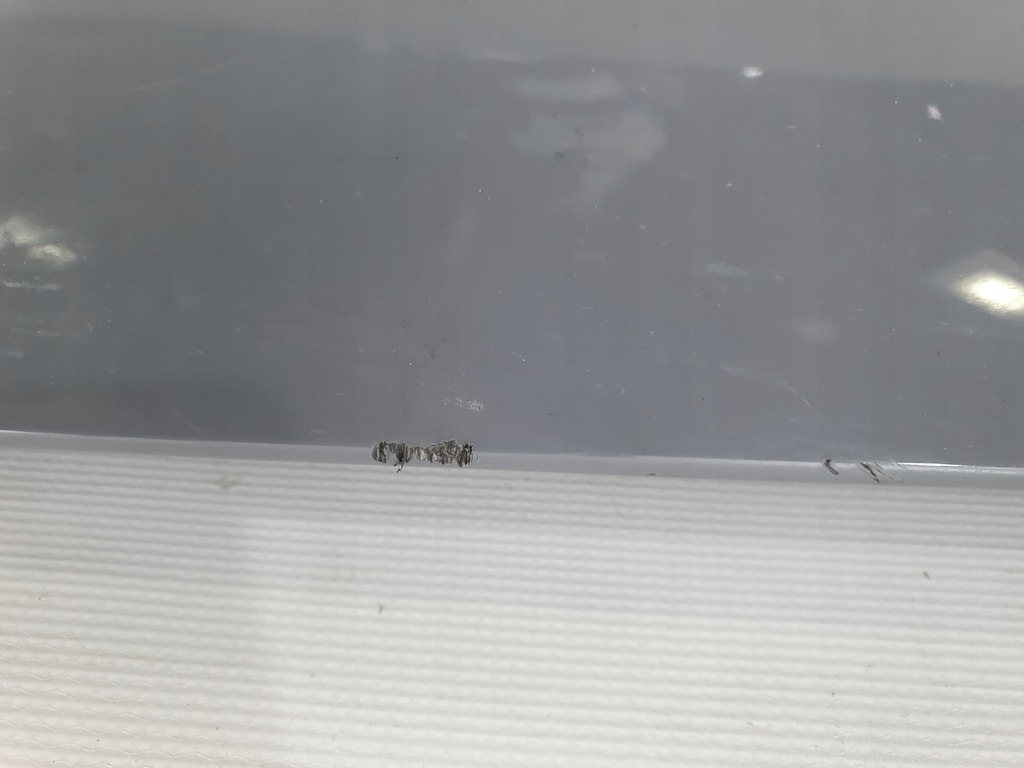 фото №5, Vw arteon 3g8 17-24 молдинг поріг поріг права правий 3g8853858