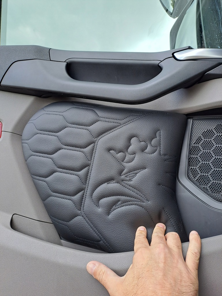 фото №4, Обшивки двері scania s / r eco grube new