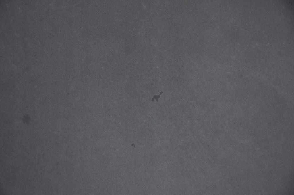 фото №8, Капот крышка двигателя audi a6 c6