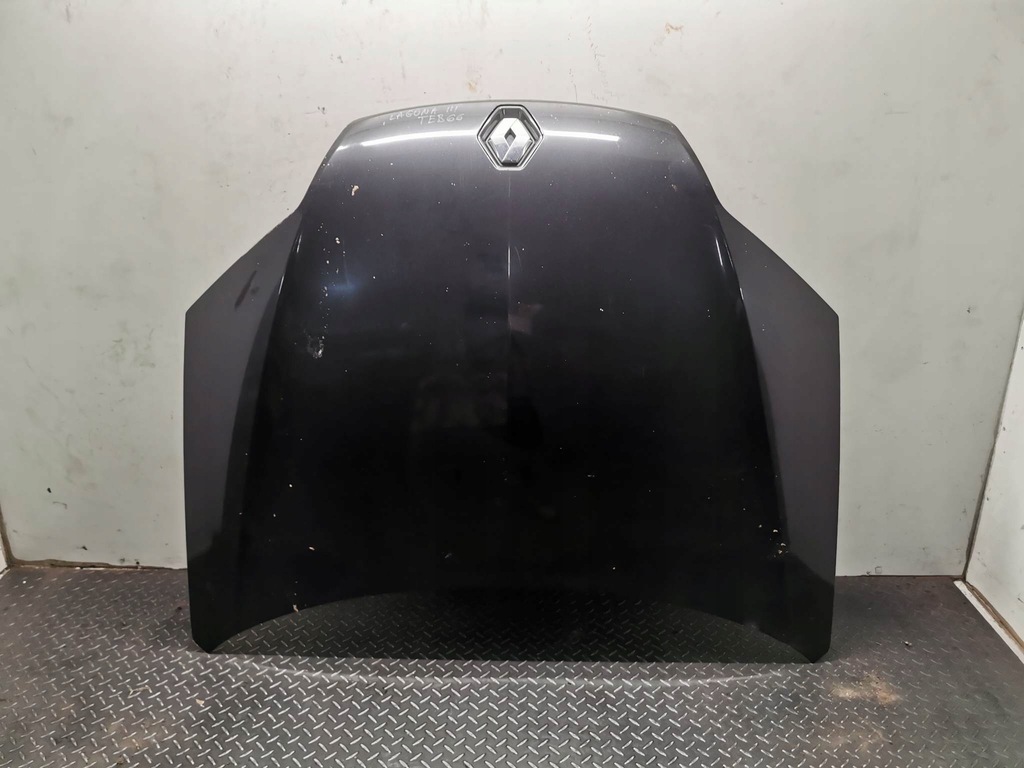 фото №1, Капот renault laguna iii код лакокрасочного покрытия teb66