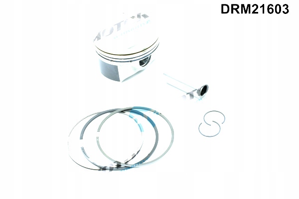 фото №5, Dr.motor drm21603 поршень