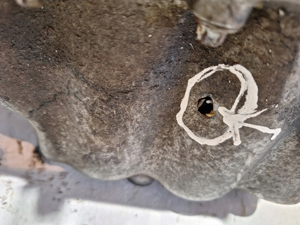 фото №14, Двигун dół двигуна z12xe opel agila corsa c astra 1.2 16v