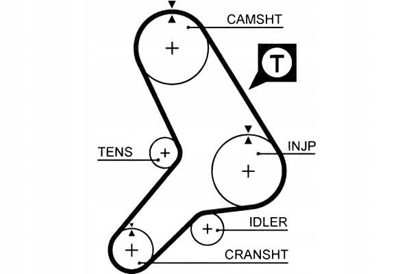 фото №1, Gates 5281 ремінь розподільного валу