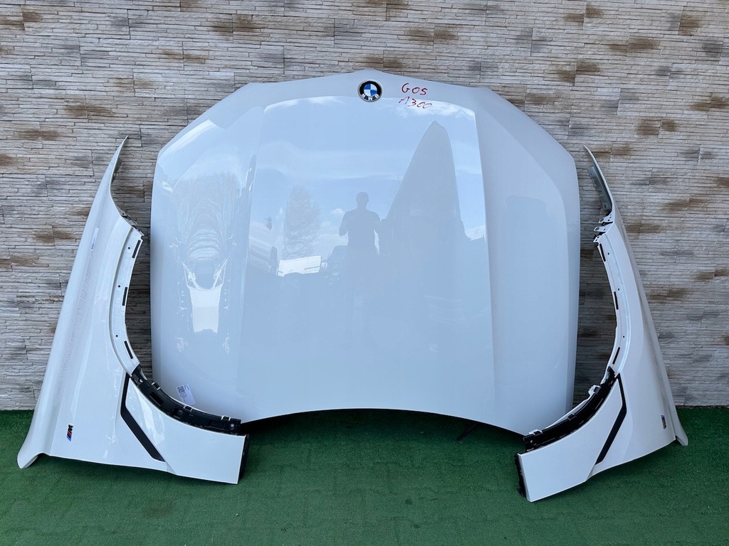 фото №10, Капот крылья бампер лампа pas радиатор радар bmw x6 g06 lci lift a300