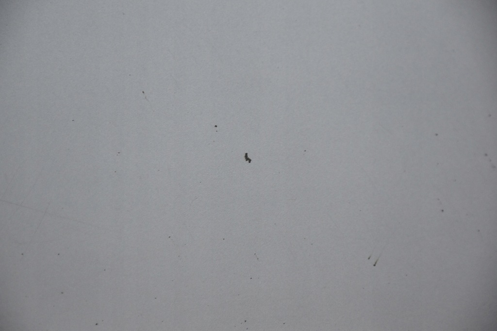 фото №8, Дверь передние перед правое honda cr-v iii b538m