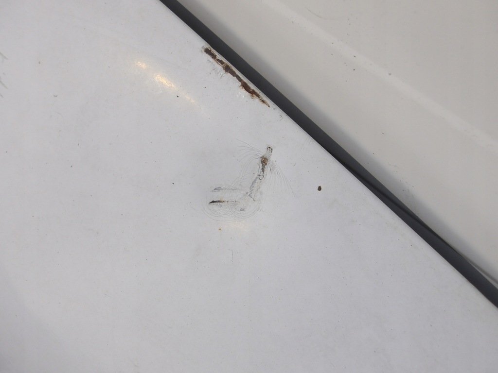 фото №4, Renault mascott 03-10 капот крышка двигателя перед