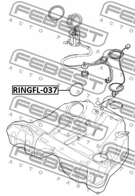 фото №3, Ringfl-037 febest pierżcień уплотнительный насоса