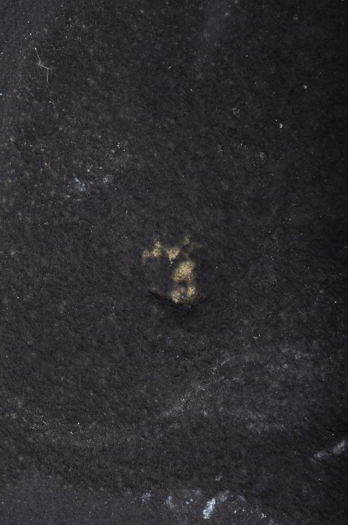 фото №8, Audi a4 b9 шумоизоляция подкрылок капот 8w0863825