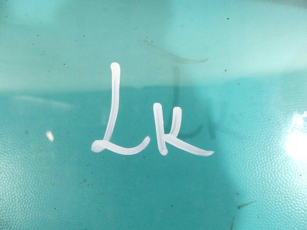 фото №3, Стекло кузовная задняя левая volvo v60 i 10r