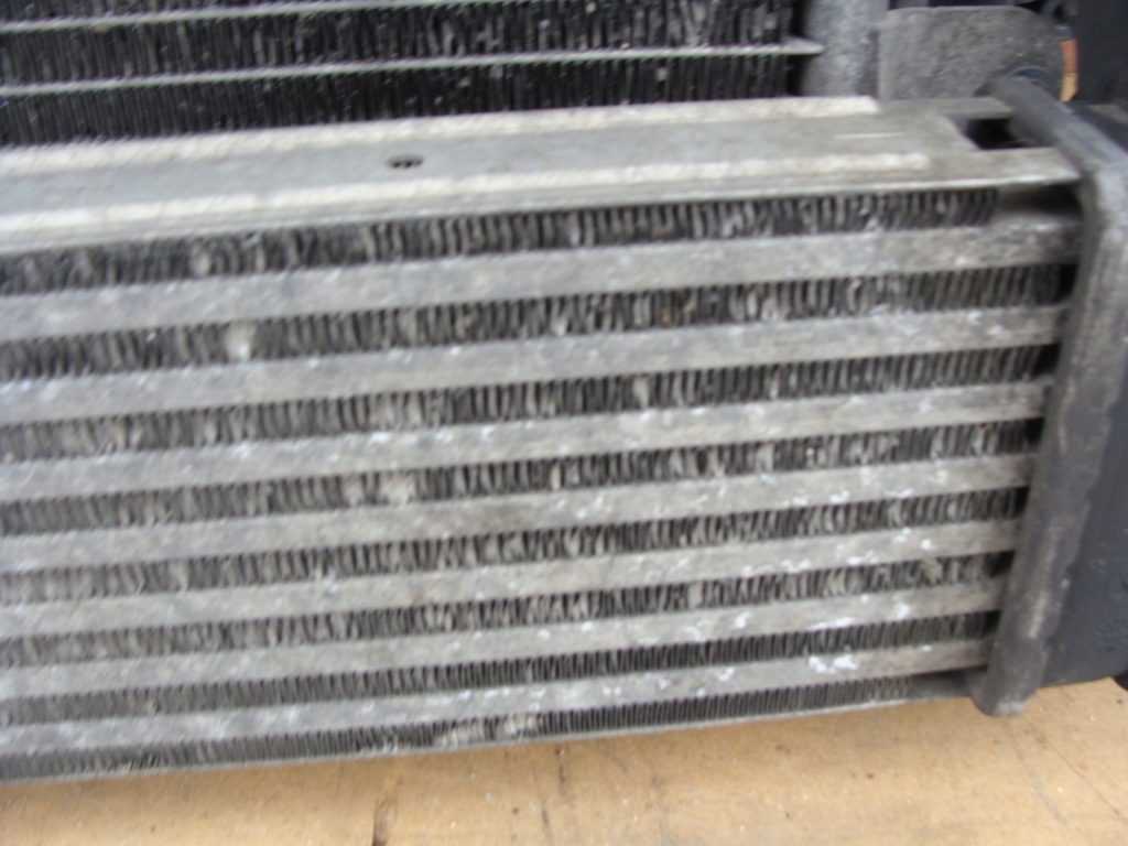 Ремень передний вентилятор радиатор воды кондиционера dacia logan 1 fl 1.5 dci Доставка