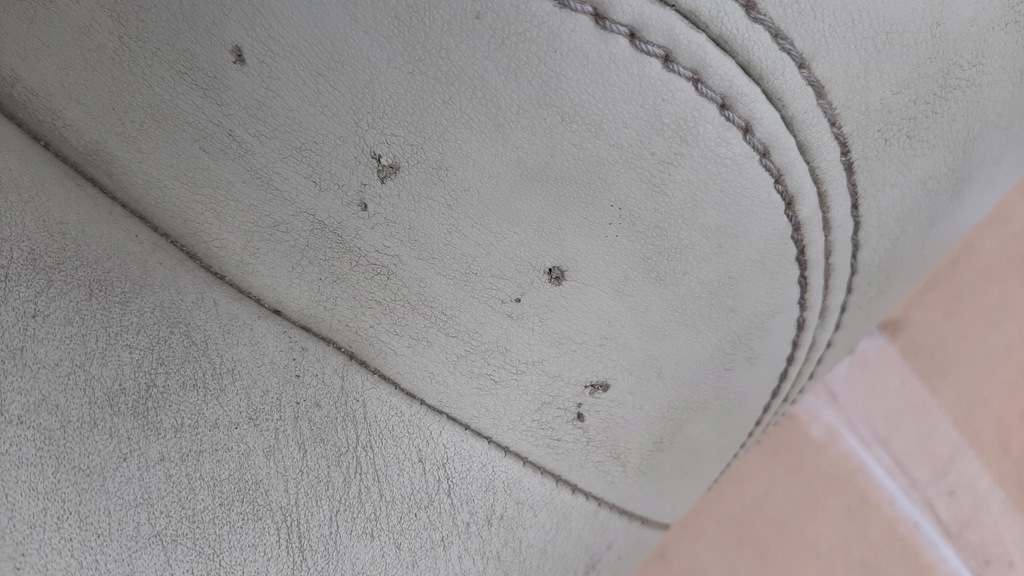 фото №7, Заднее сиденье спинка задняя infiniti g35 g37