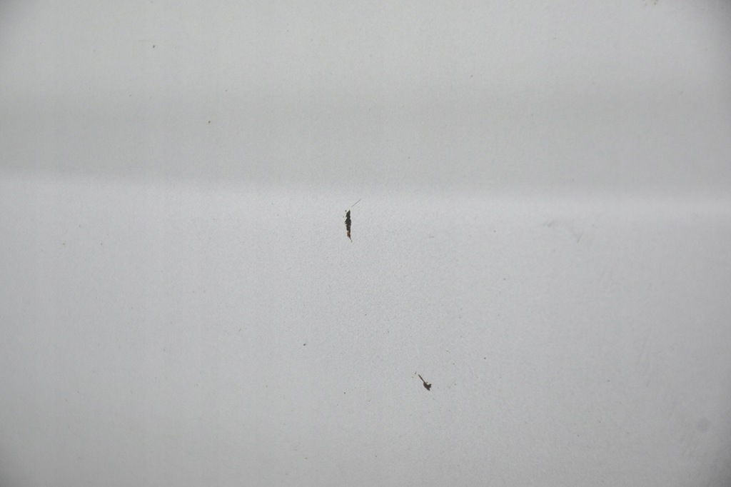 фото №8, Крышка багажника задняя задняя skoda yeti lift la7w