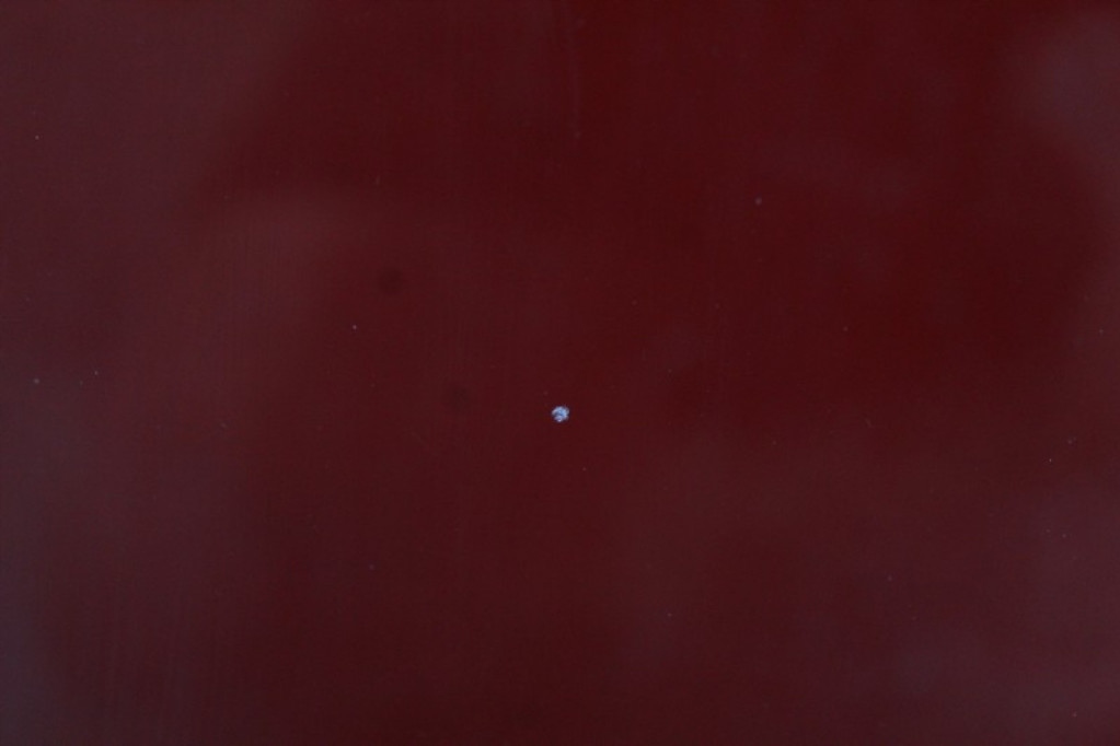 фото №5, Стекло перед передняя лобовое renault trafic 3 iii 14-21