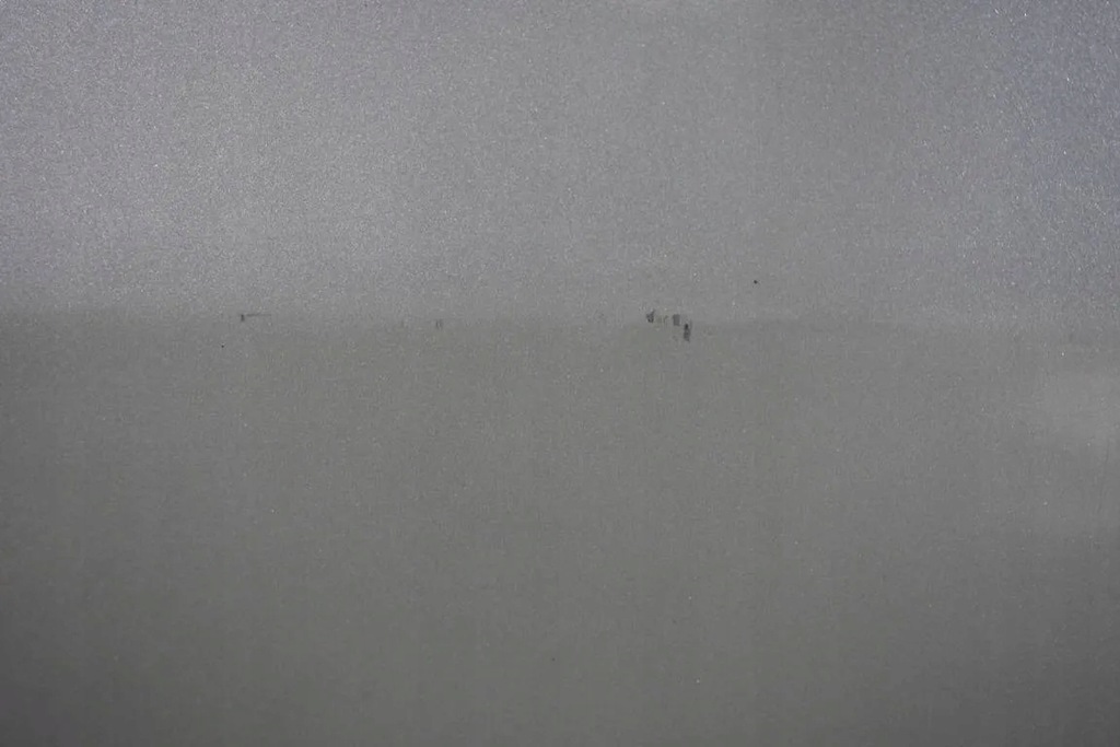 фото №7, Дверь левая 694 met alfa romeo 147 00-04 3d