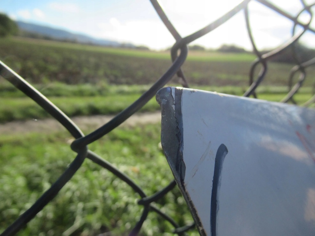 фото №8, Дверь перед правое iveco daily vi 14-