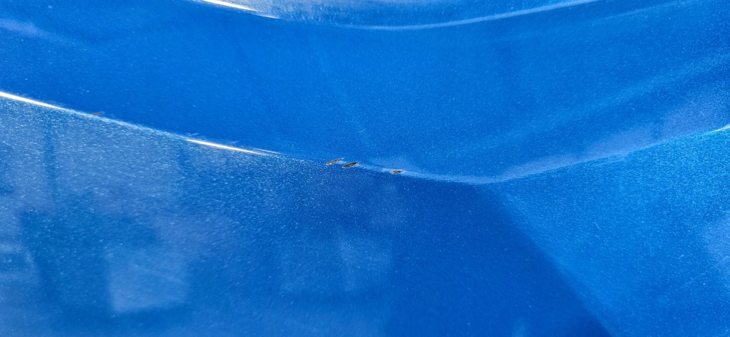 Крышка багажника задняя багажника lexus ux 2018- оригинал Оригинал