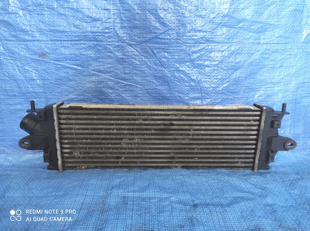 фото №1, Інтеркулер nissan primastar 2.0 dci 8200411160
