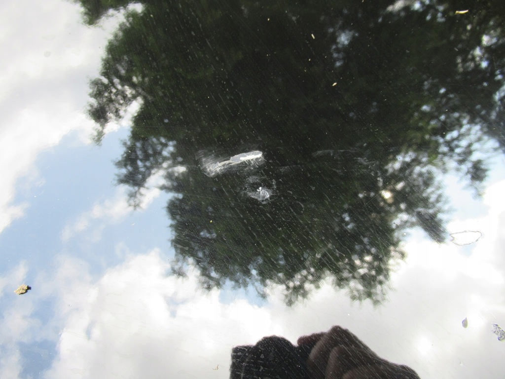 фото №6, Mercedes w221 s-klasa капот крышка двигателя #60