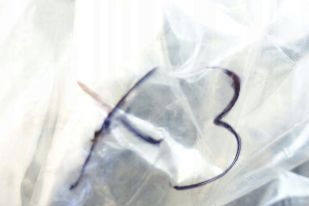 Прокладка фара правого omega b 9193430 Зі Шроту