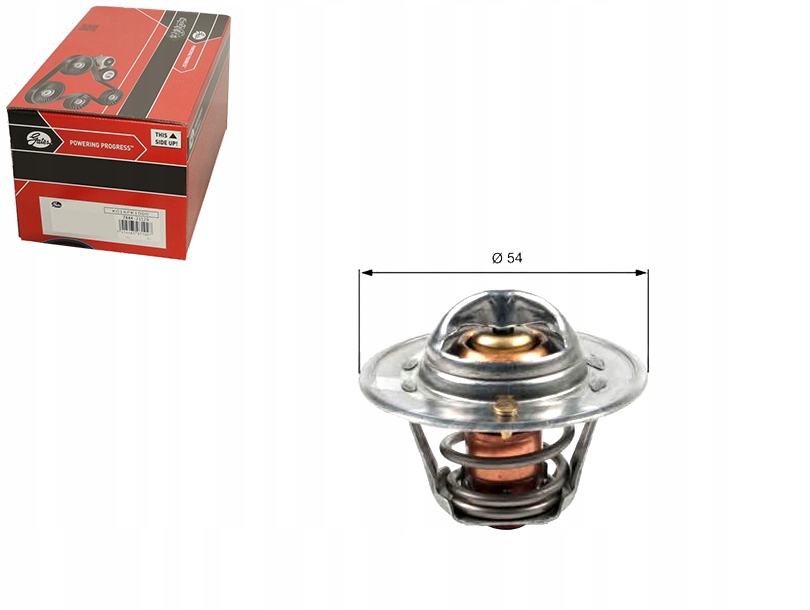 фото №1, Термостат gates