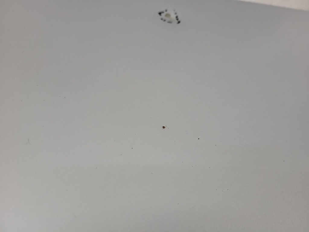 фото №14, Vw passat b7 sedan крышка багажника багажника la7w