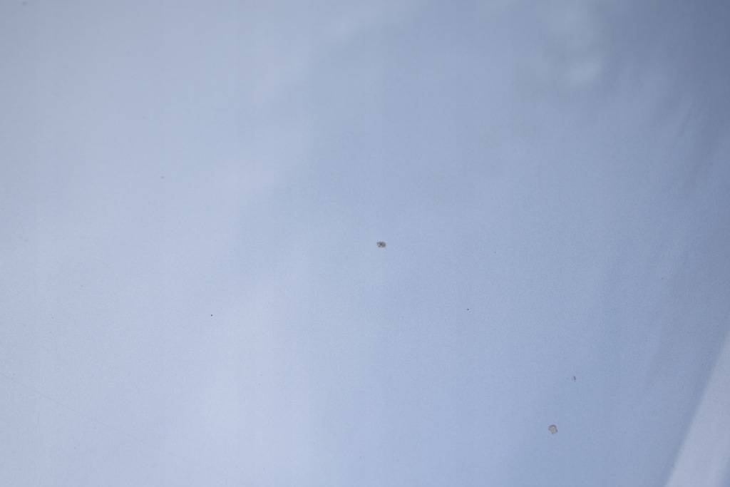 фото №9, Audi a8 d3 lift капот кришка двигуна lx7w