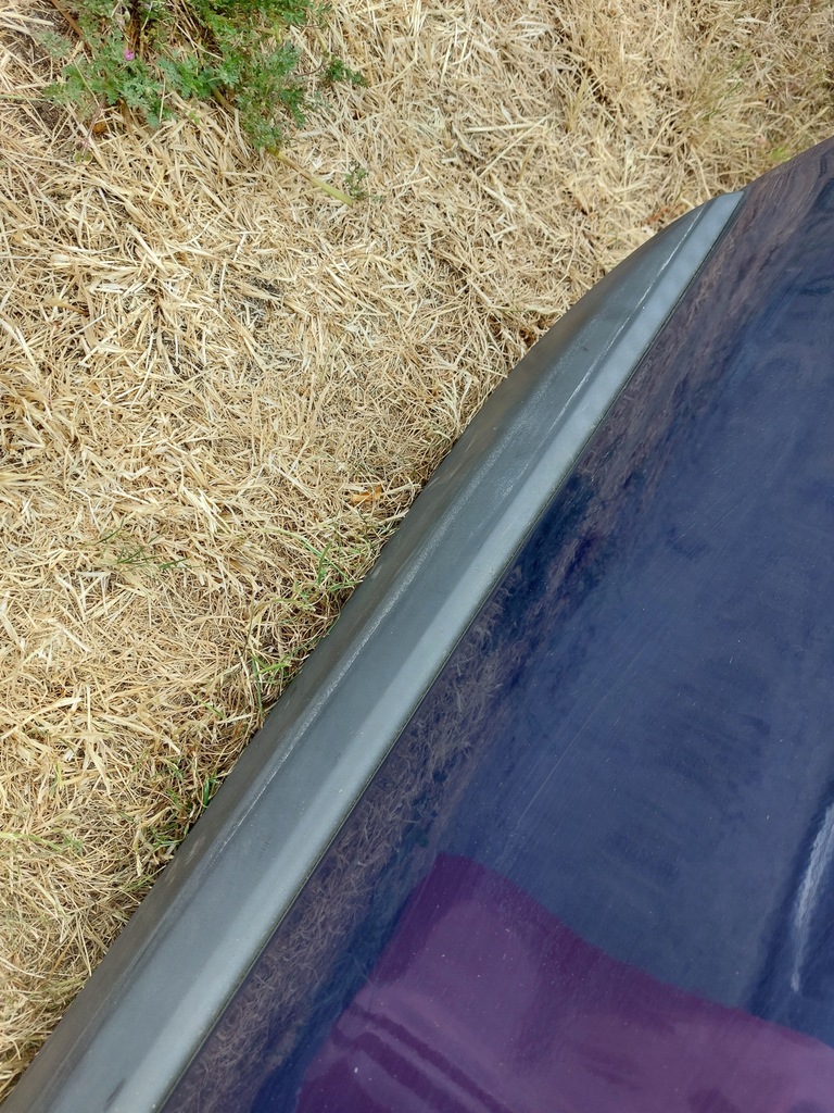 фото №8, Дверь задняя задние dacia lodgy