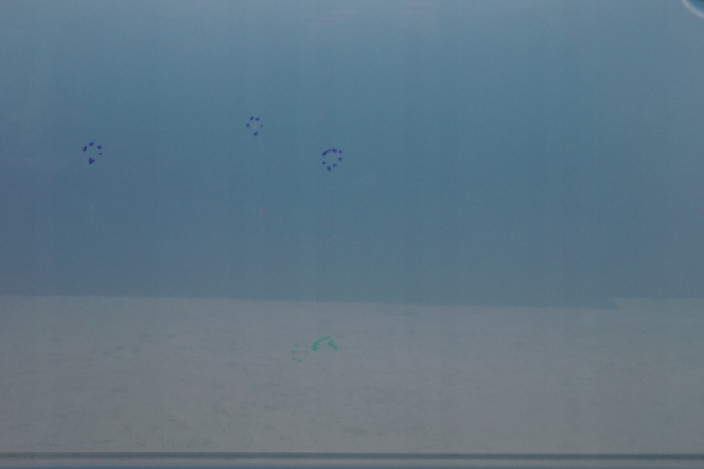 фото №7, Дверь левый перед subaru justy iv 07- b57