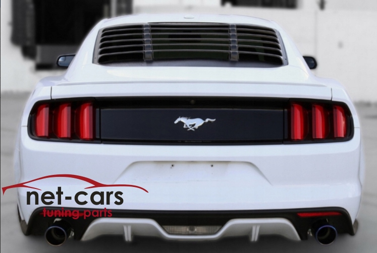 фото №7, Жалюзи защита впуск решётка стекло ford mustang 6