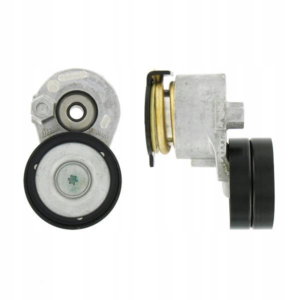 Vkm 36072 skf натяжитель ремень многоручейковый. renault в Украине