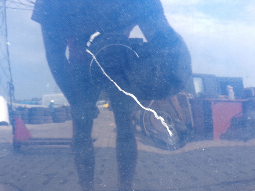 фото №7, Капот крышка двигателя opel zafira b