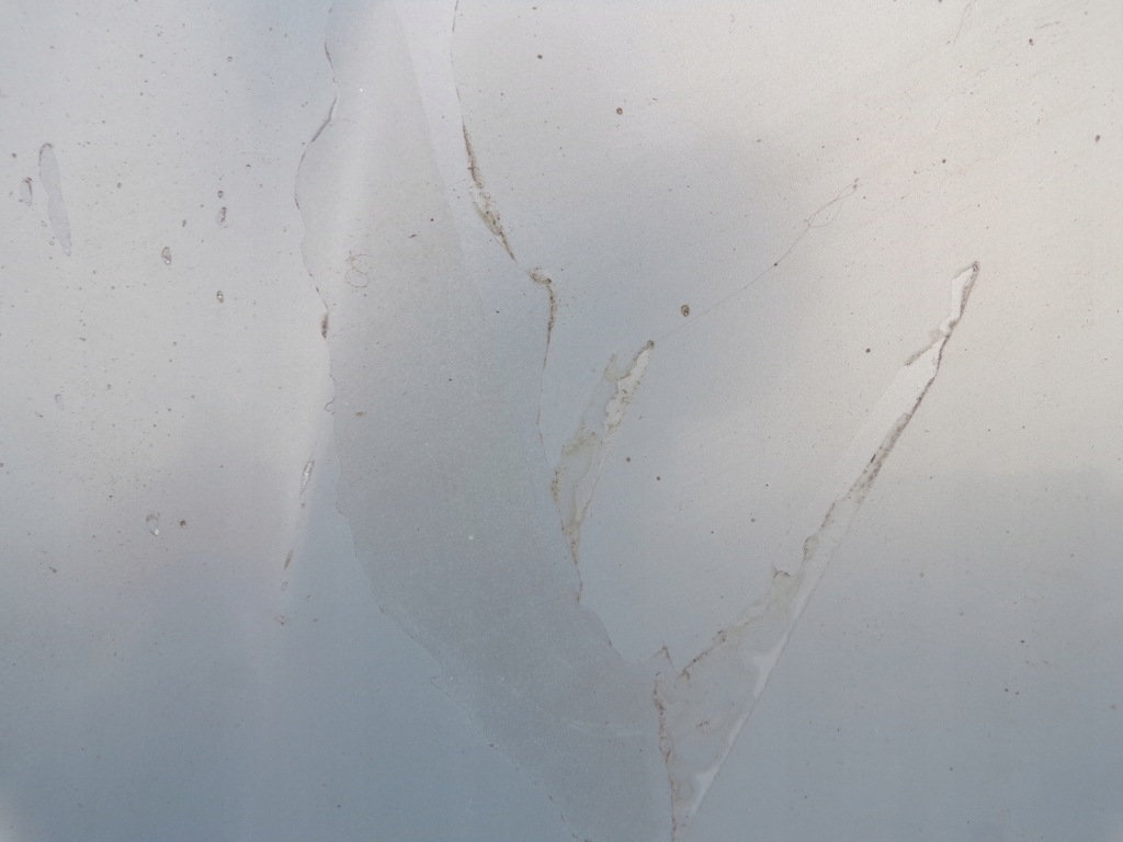 фото №6, Капот крышка двигателя seat ibiza 3 iii 6l цвет ls5t