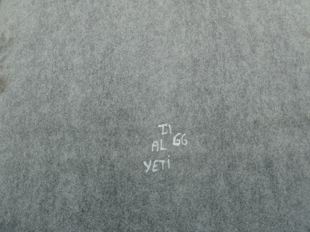 фото №9, Потолок потолок skoda yeti 5l