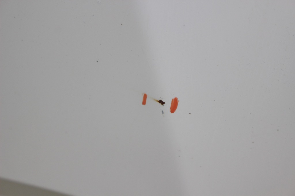 Крыло  левое  bmw x3 f25 a300 alpinweiss Цена