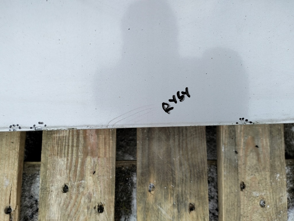 фото №14, Дверь правый перед передние lexus is ii 220 цвет 1g1 lata 05-09 seda