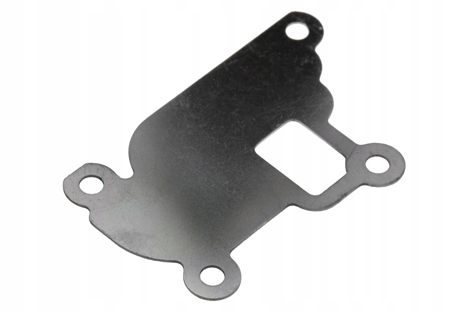 фото №1, Заглушка клапана egr