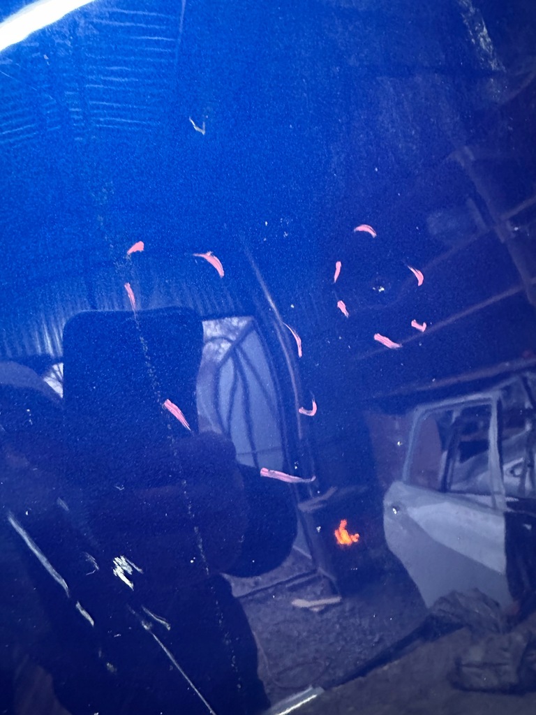 фото №2, Капот кришка двигуна renault clio iv 4