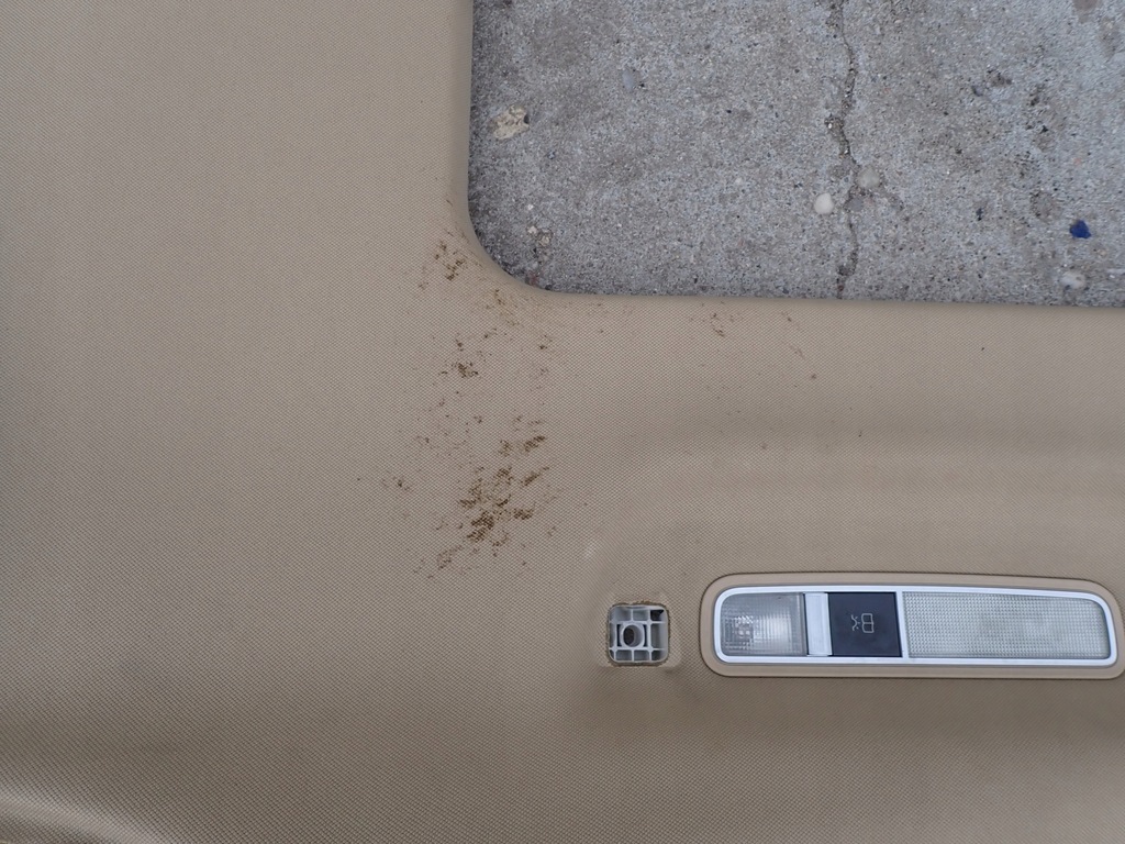 фото №8, Потолок mercedes s500 w221 long