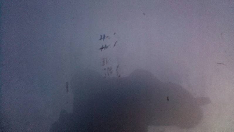 фото №8, Двері правий задня skoda octavia